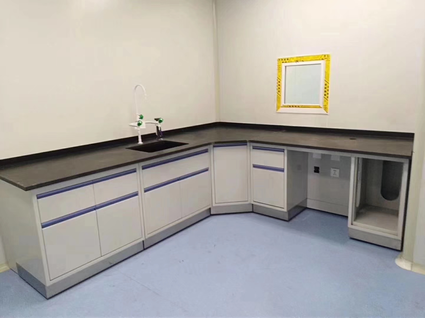 番禺实验室净化工程（番禺洁净室装修）(图1)